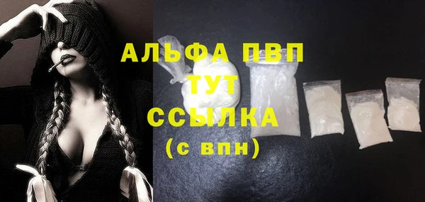 шишки Арсеньев