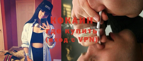 прущие грибы Армянск