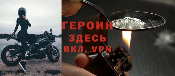 шишки Арсеньев