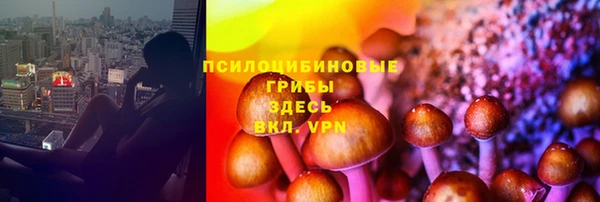 a pvp Аркадак