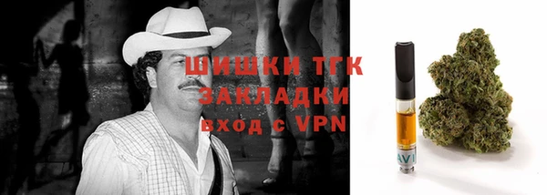 прущие грибы Армянск