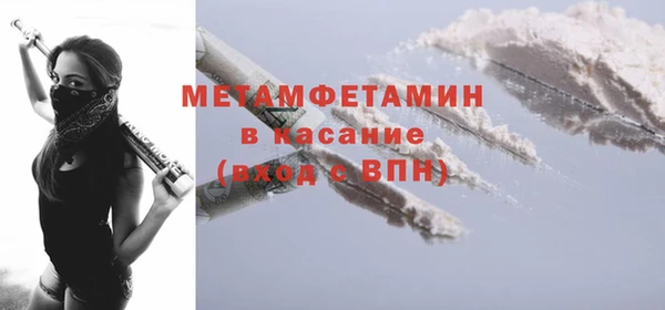 шишки Арсеньев