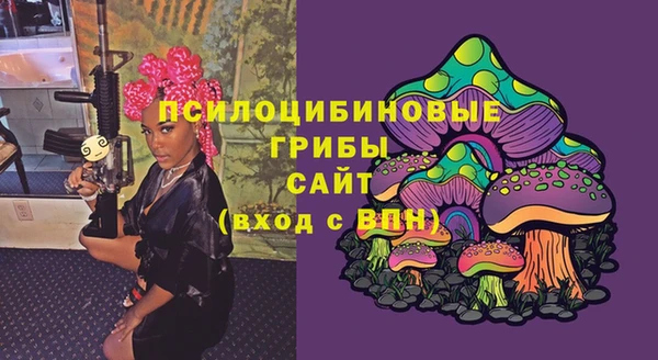 шишки Арсеньев