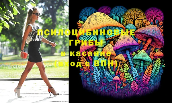 прущие грибы Армянск
