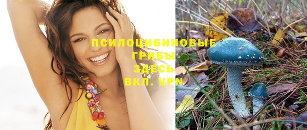 прущие грибы Армянск