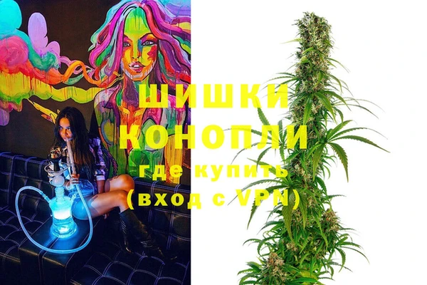 шишки Арсеньев