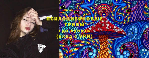дмт Няндома